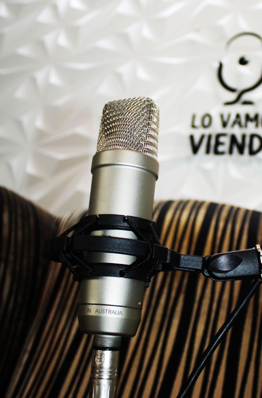 Detalle de un micrófono del estudio de Lo Vamos Viendo